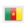 cameroon flag