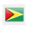 guyana flag