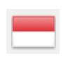 indonesia flag