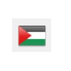 palestine flag