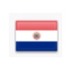 paraguay flag