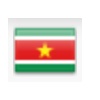 suriname flag