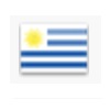 uruguay flag